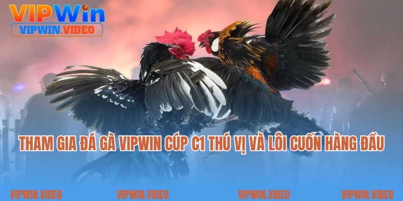 Tham gia đá gà Vipwin cúp C1 thú vị và lôi cuốn hàng đầu